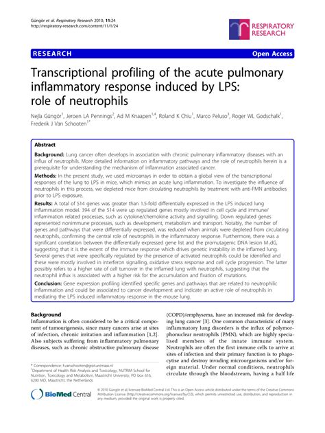 Exploring LPs: The Role