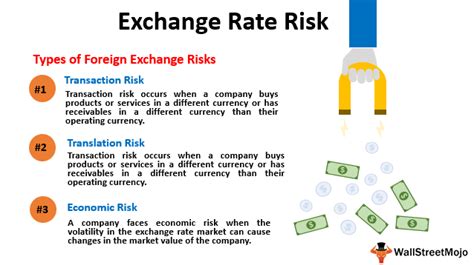 Understanding Exchange Rate Risk